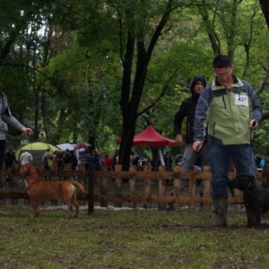 Lothar CM: V2, Res. CAC