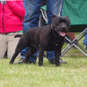 Lothar CM: V2, Res.CAC