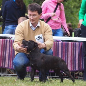 Lothar CM: V2, Res.CAC