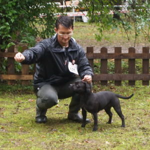 Lotta CM: V2, Res.CAC