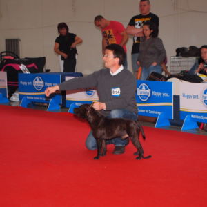 Jax CM: V1, CAC, Res. CACIB