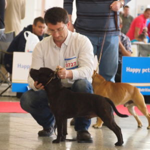 Jax CM: V2, Res. CAC