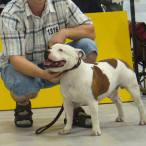 Výborný 2, Res.CAC