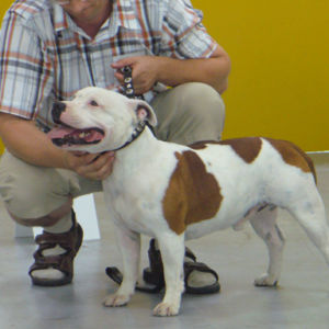 Výborný 2, Res.CAC