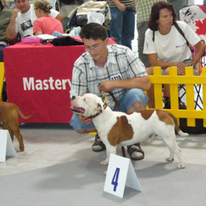 Výborný 2, Res.CAC