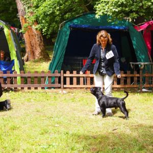 Nestor - V2, Res. CAC