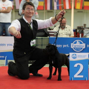 Nestor - V2, Res.CAC