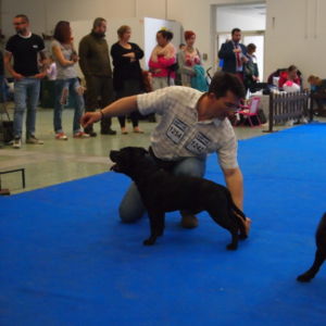 Nestor CM: V2, Res.CAC