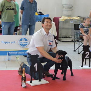 Nestor CM: Výborný 1