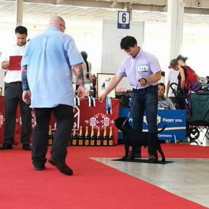 Nestor CM: Výborný 1