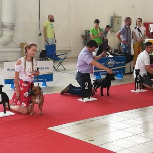 Oris CM: V2, Res.CAC