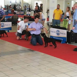 Oris CM: V2, Res.CAC