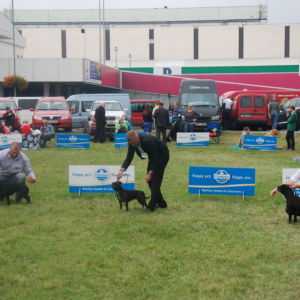 Trieda otvorená suky