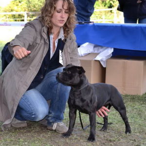 Oxy - V1, CACA, Klubový víťaz, BOS