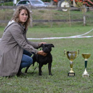 Oxy - V1, CACA, Klubový víťaz, BOS