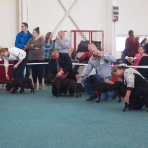 Ozembuch CM: V2, Res.CAC