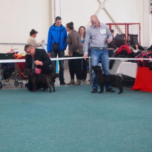 Ozembuch CM: V2, Res.CAC