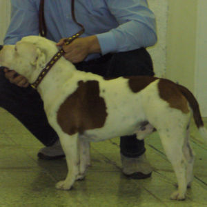 výborný 2, Res.CAC