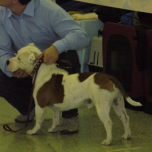 výborný 2, Res.CAC