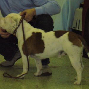 výborný 2, Res.CAC