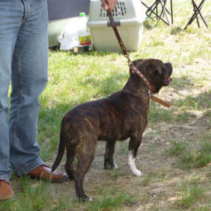 Aslam: Veľmi nádejný 1