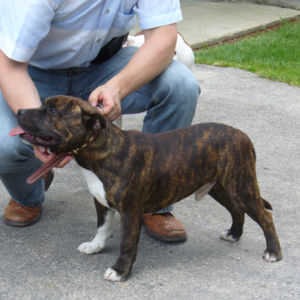 Aslam: Veľmi nádejný 1