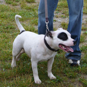 Albert: Veľmi nádejný 1