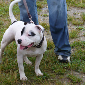 Albert: Veľmi nádejný 1