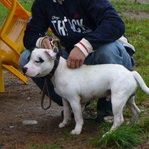 Albert: Veľmi nádejný 1