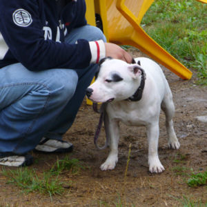 Albert: Veľmi nádejný 1