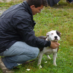 Výborná 1, Víťaz triedy mladých, Najlepšia mladá fena výstavy ( Junior BIS ), 2. najlepšia fena výstavy