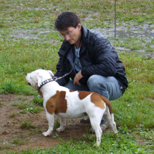 Trieda víťazov : Výborný 1, Oblastný víťaz, BOB