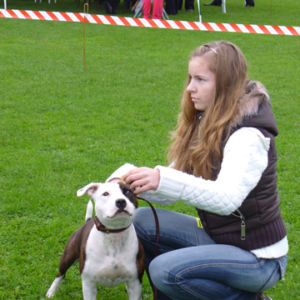 Výborná 1, Prvak razreda mladih