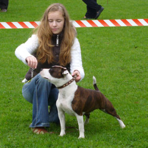 Výborná 1, Prvak razreda mladih