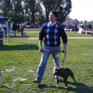 Výborný 1, Najljepši mladi pas pasmine