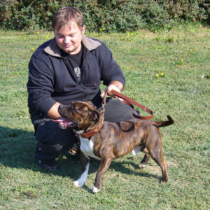 Výborný 1, Najljepši mladi pas pasmine