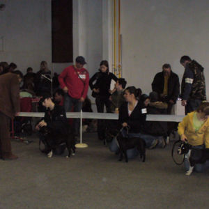 Výborná 1, CAC,. Res. CACIB