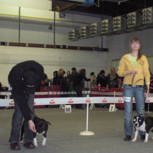 Výborná 1, CAC,. Res. CACIB