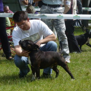 Výborný 2, Res.CAC