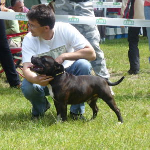 Výborný 2, Res.CAC