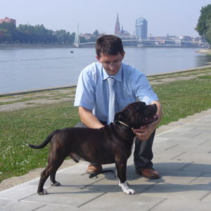 Výborný 1, CAC, CACIB, BOB