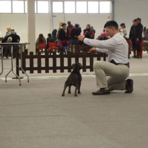 Pria CM: V2, Res.CAC