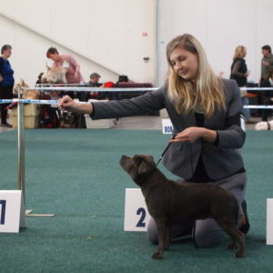 Pria CM: V2, Res.CAC