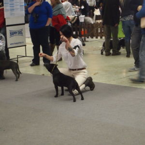 Rita CM: V2, Res.CAC