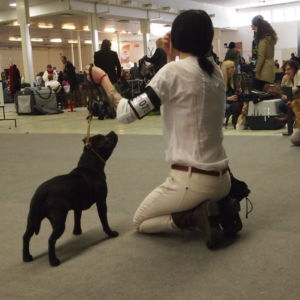 Rita CM: V2, Res.CAC