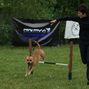 Tak skáču najlepší