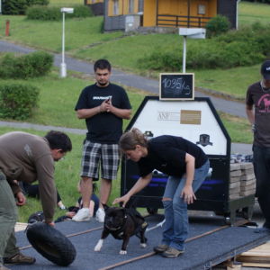 Bastien CM: Už to nepôjde