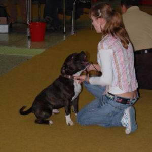 Výborný 1, Klubový	víťaz	mladých 2008