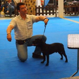 Valmont CM:  V1, CAJC