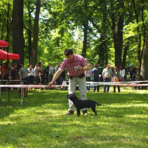 Valmont CM: V1, CAJC